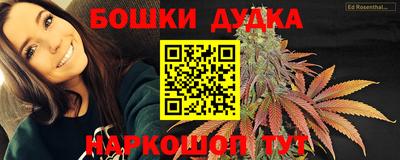 индика Ливны