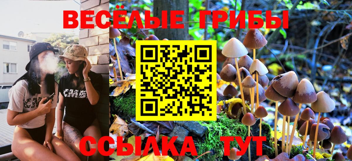 Усть-Илимск  Псилоцибиновые грибы GOLDEN TEACHER  Вход с VPN 